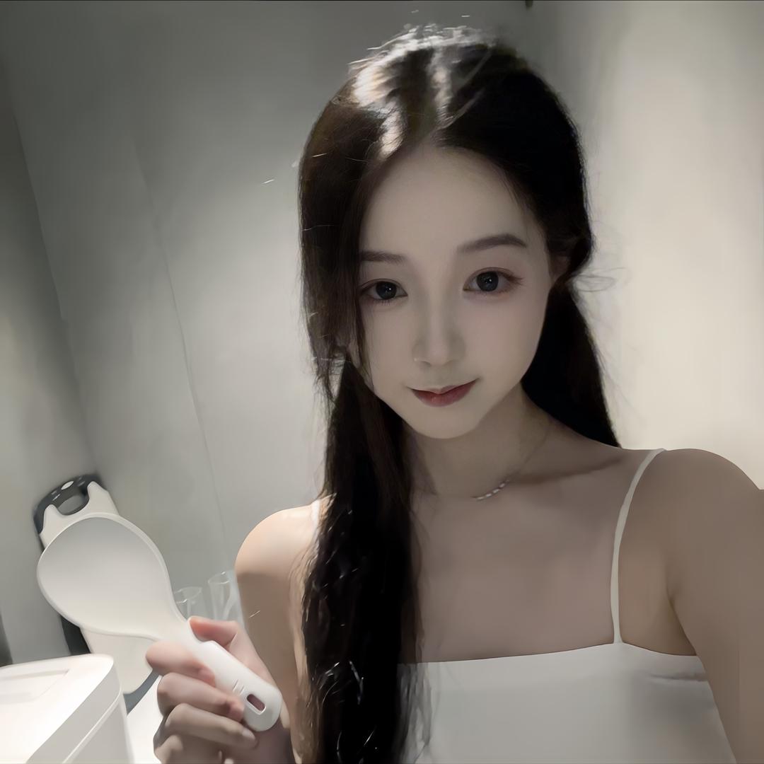 Rouyi万