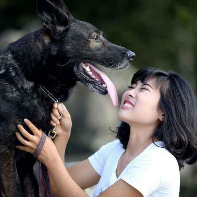 东升训犬-宋兰