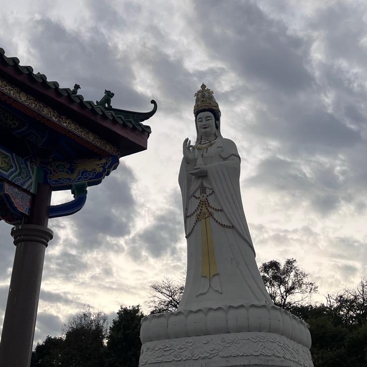 等风来...