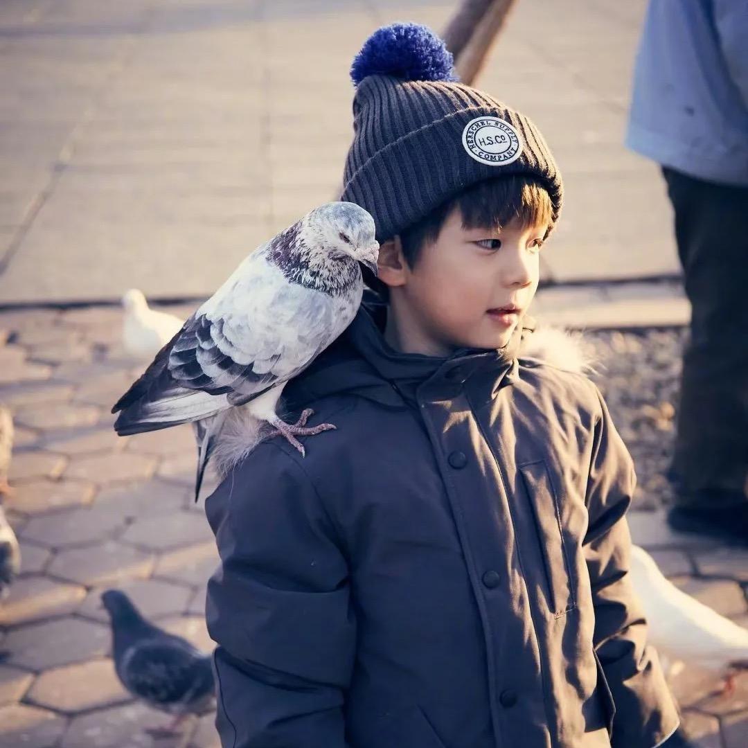 真心哪有钞票红