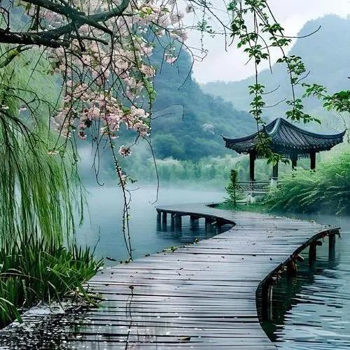 随风漂荡