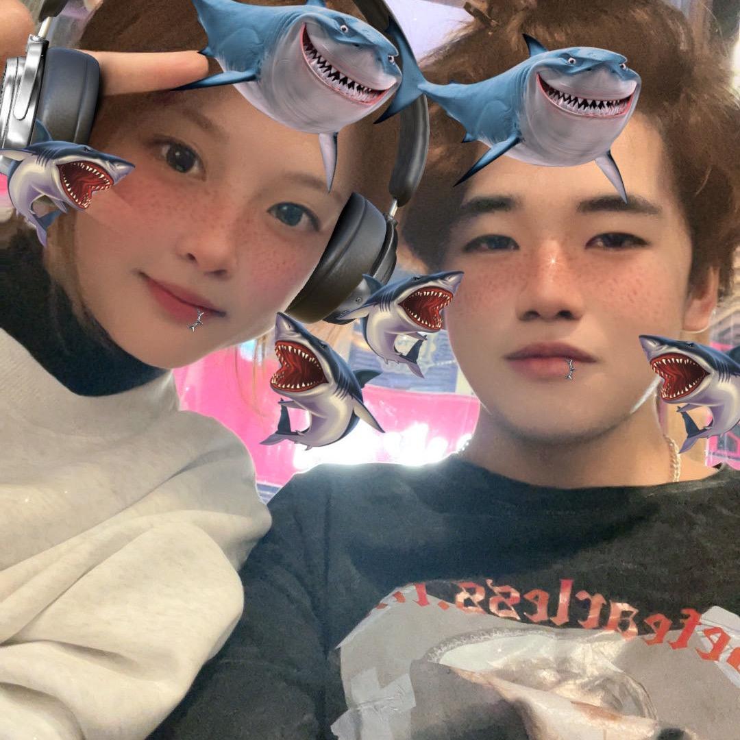 南落青尘