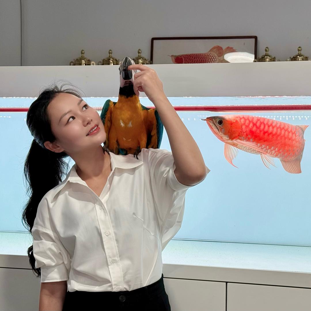 鱼护士罗小姐