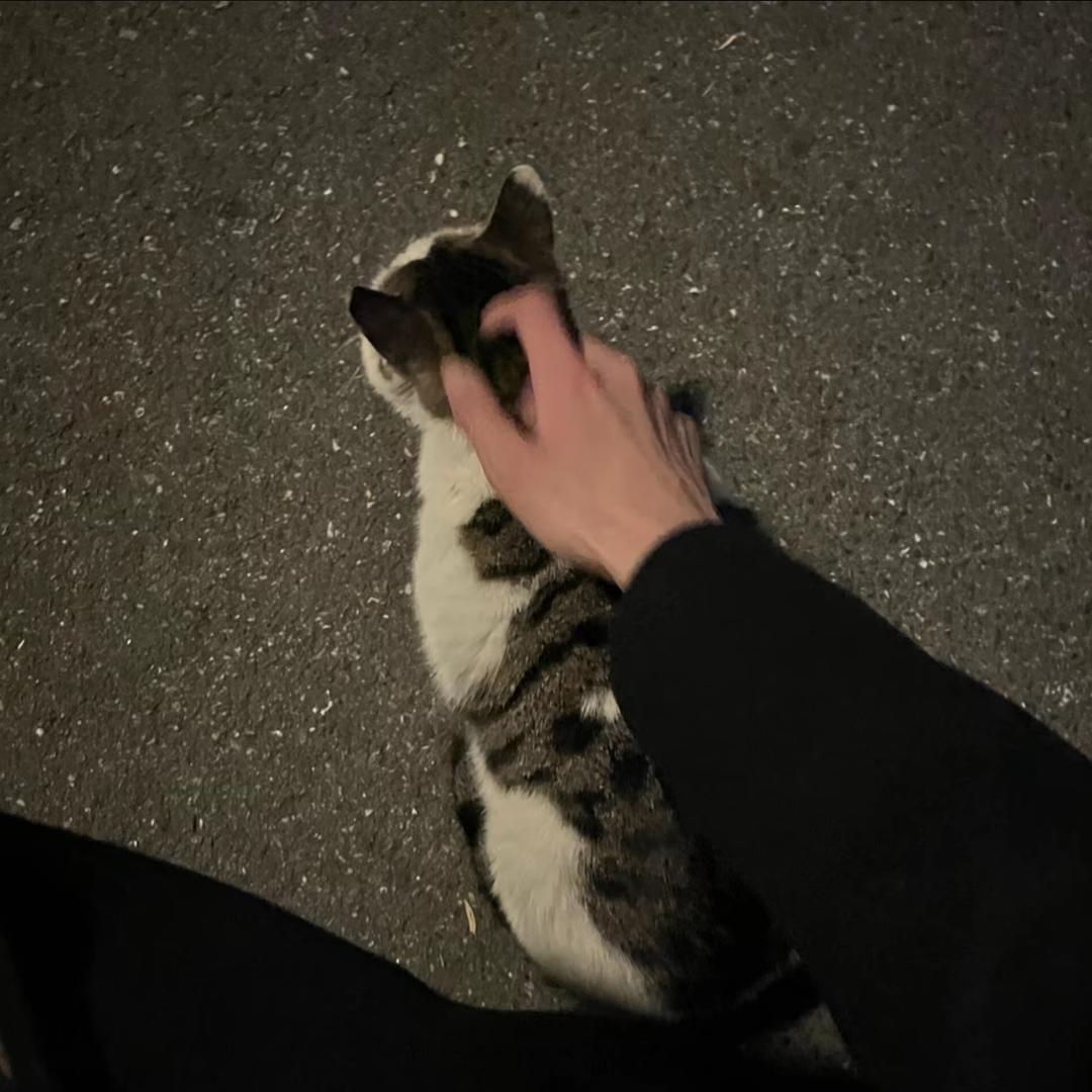 早点睡觉💤