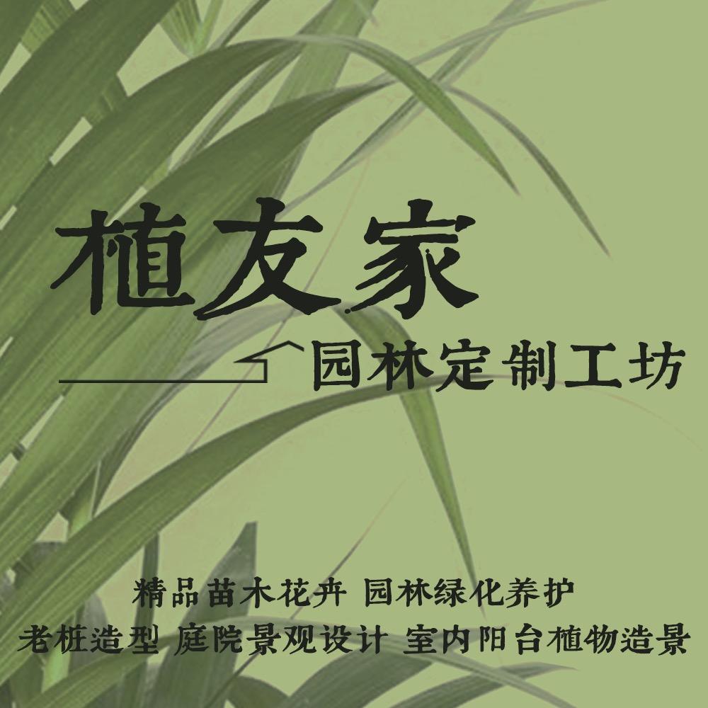 丰年