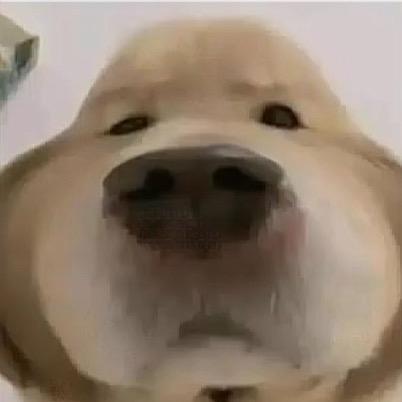 要怎么说怎么做