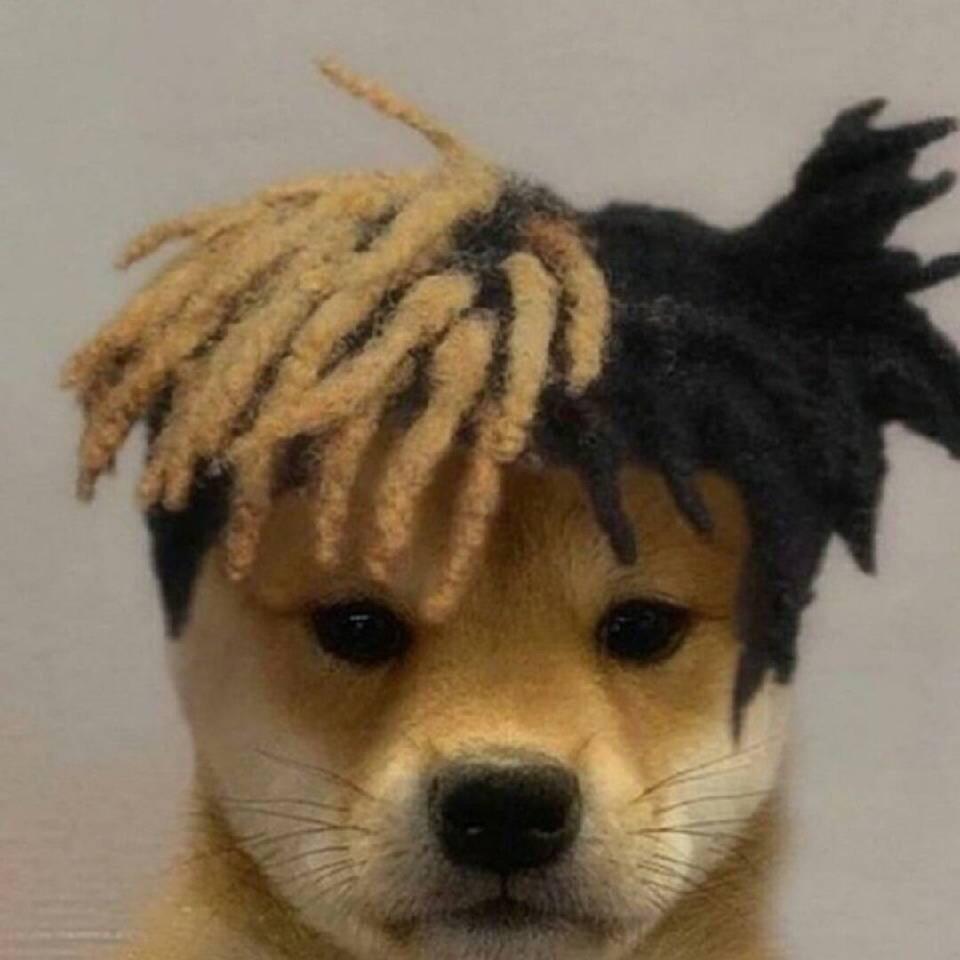 忘记烦恼¥