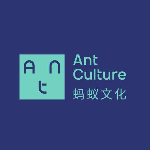 蚂蚁那些事