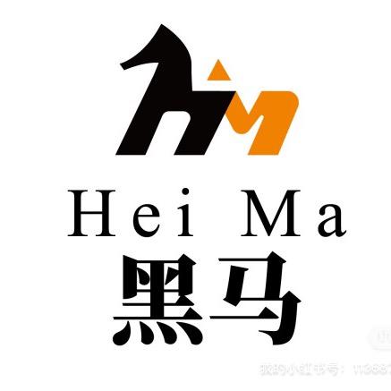 濮阳市黑马财税服务有限公司