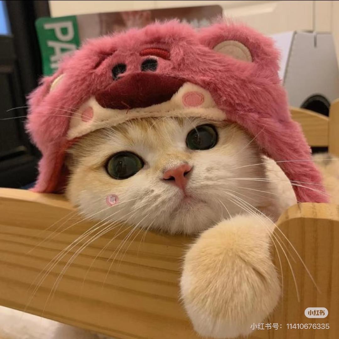 有点甜💕