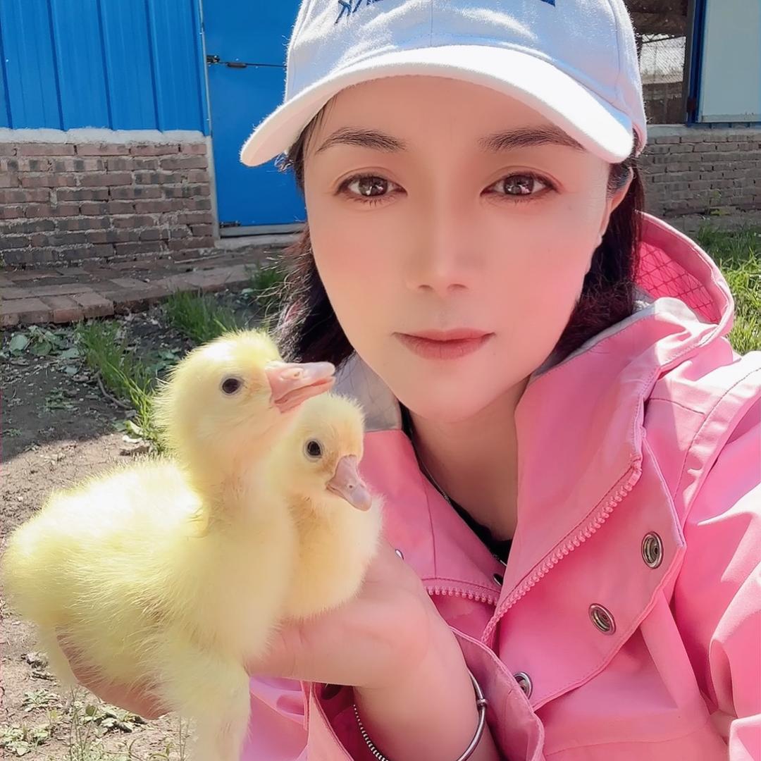 雁司令