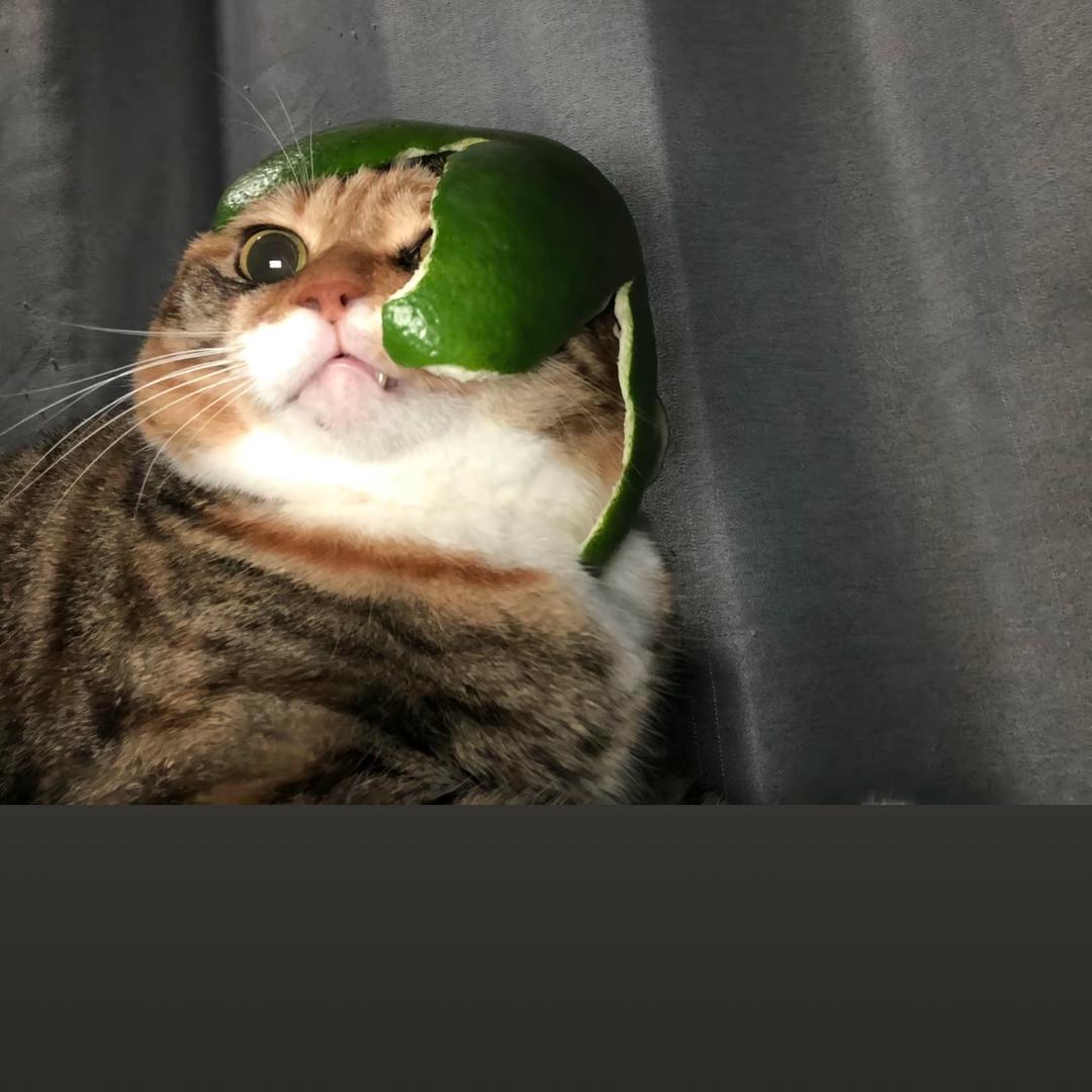 爱加调味料（想打眉钉…）