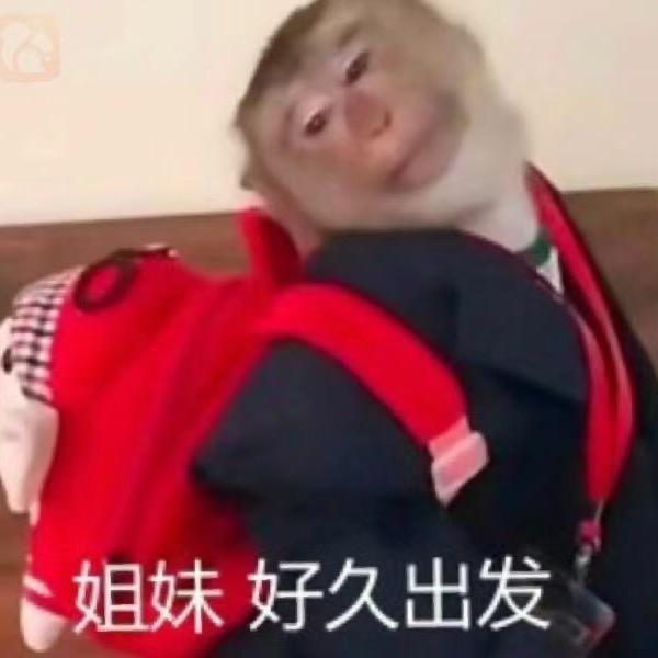 自白书