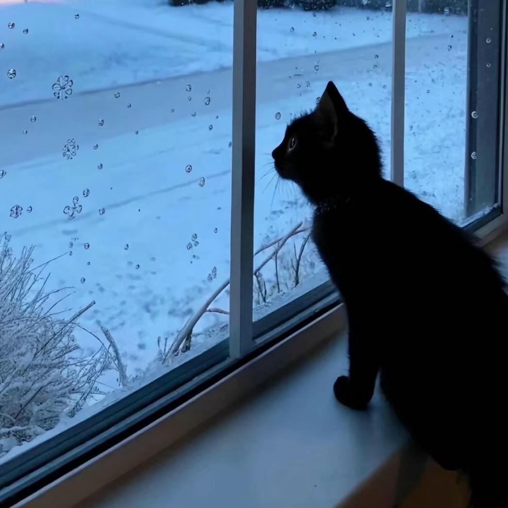 林黛玉背着李逵抱摔鲁智深