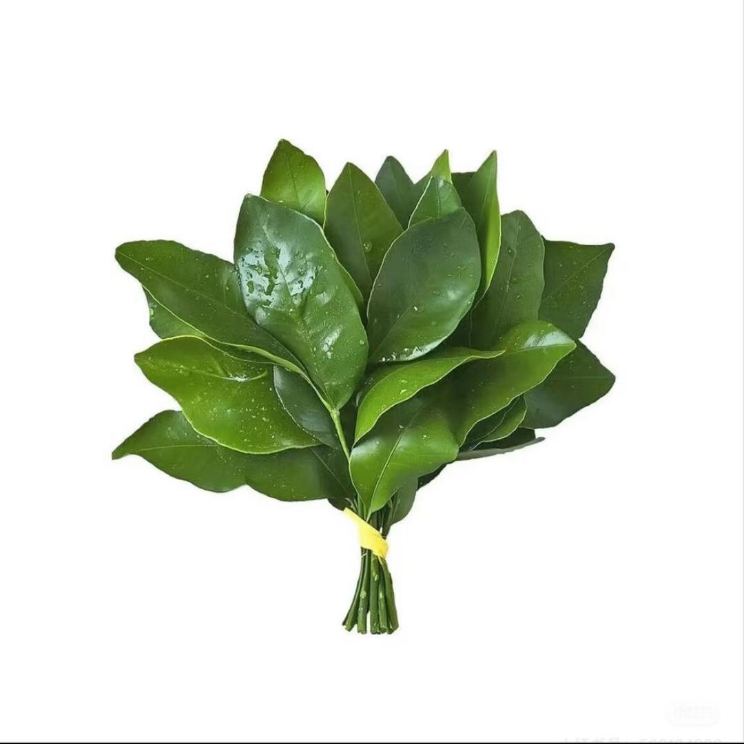 菜菜ovo
