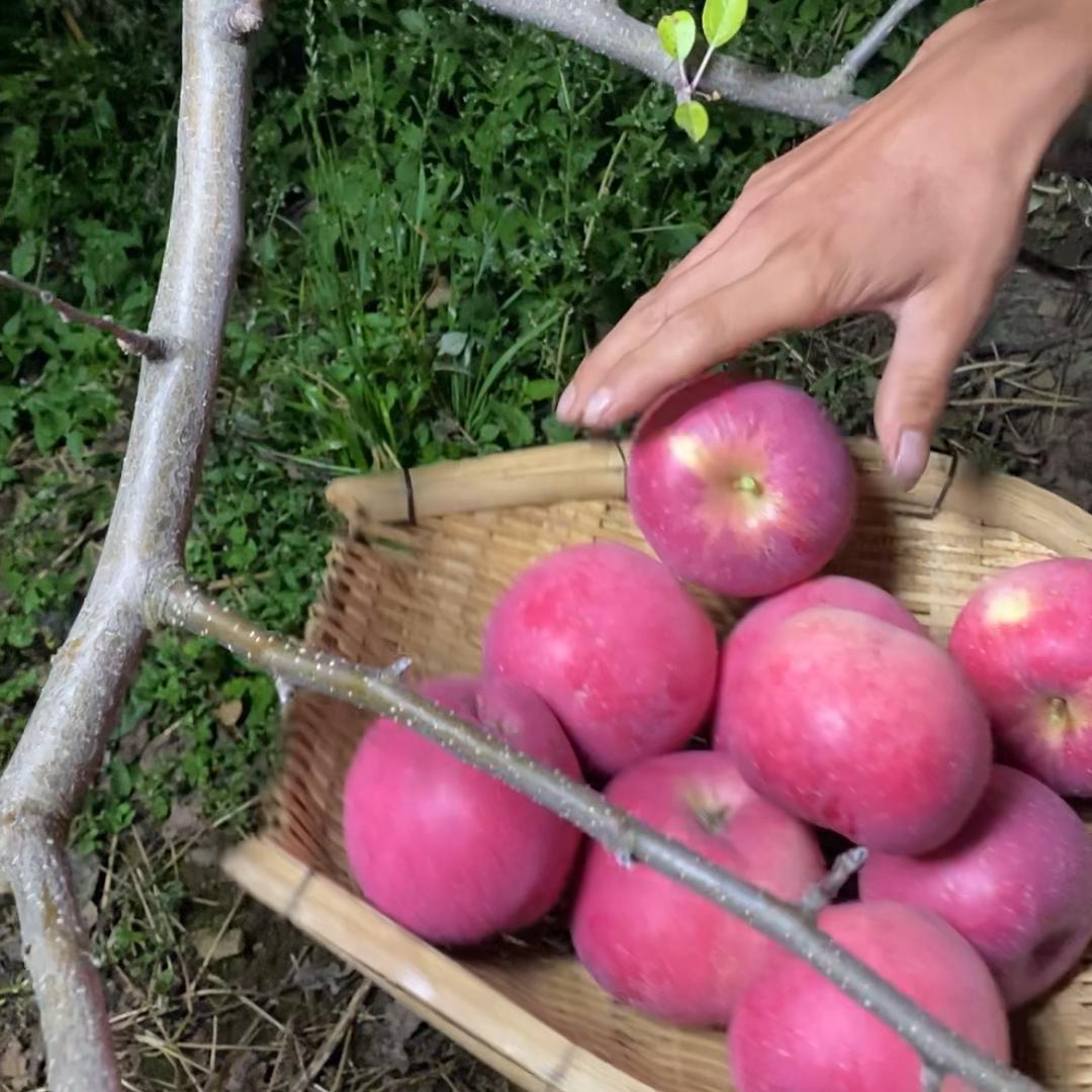 海口秀英阿姨服务部