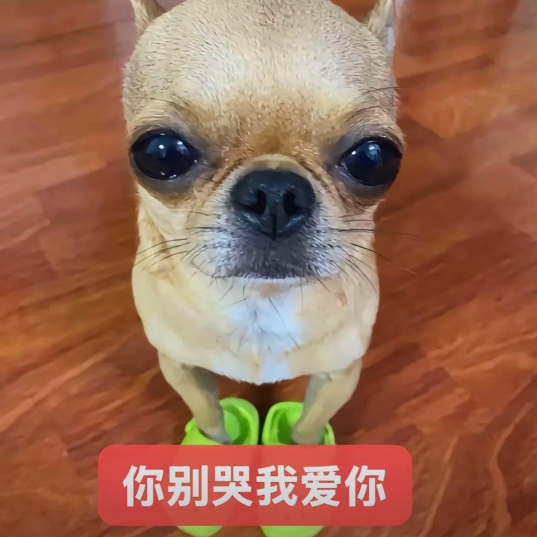 其实真不是你想的那样