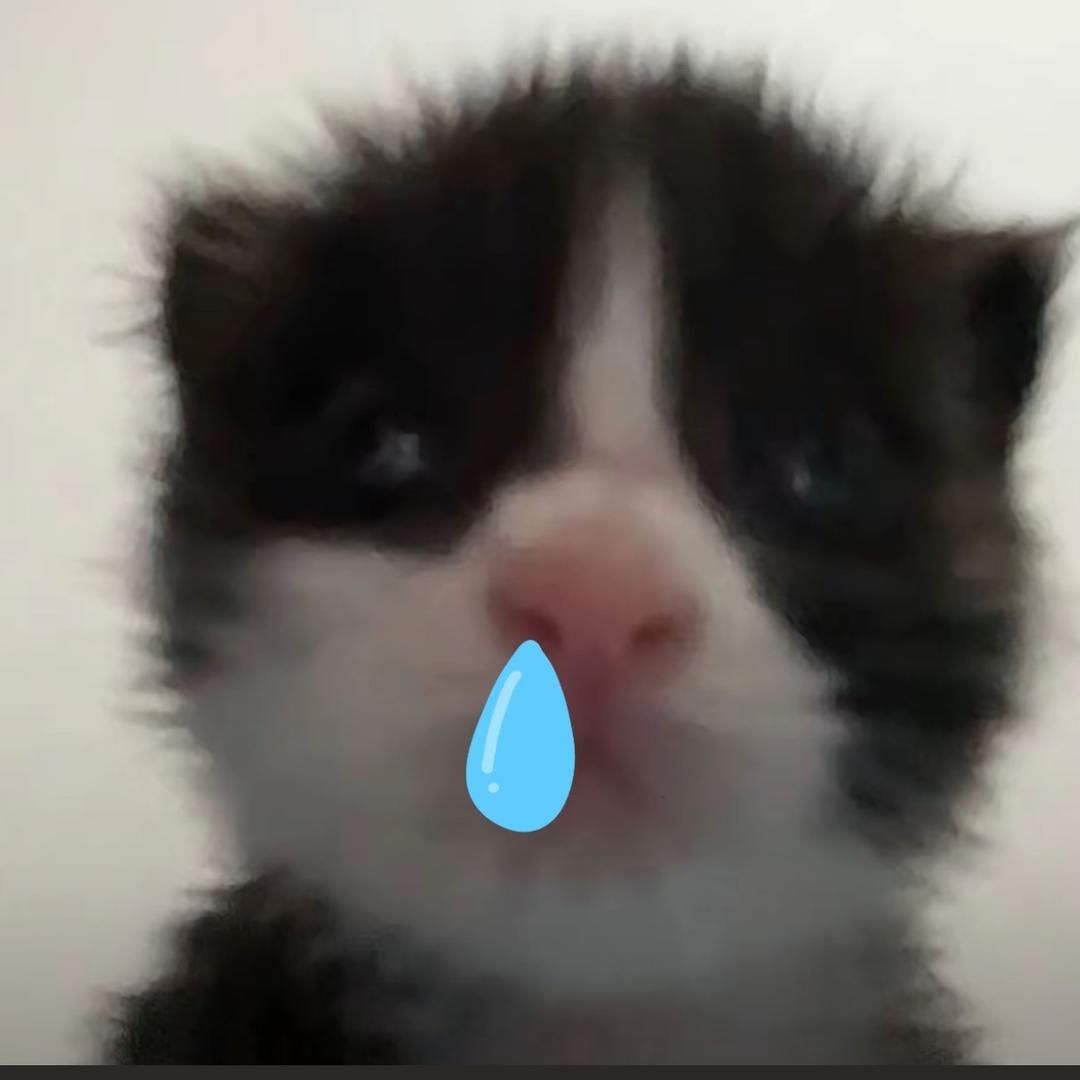 糖糕 ៸៸᳐⦁⩊⦁៸៸᳐