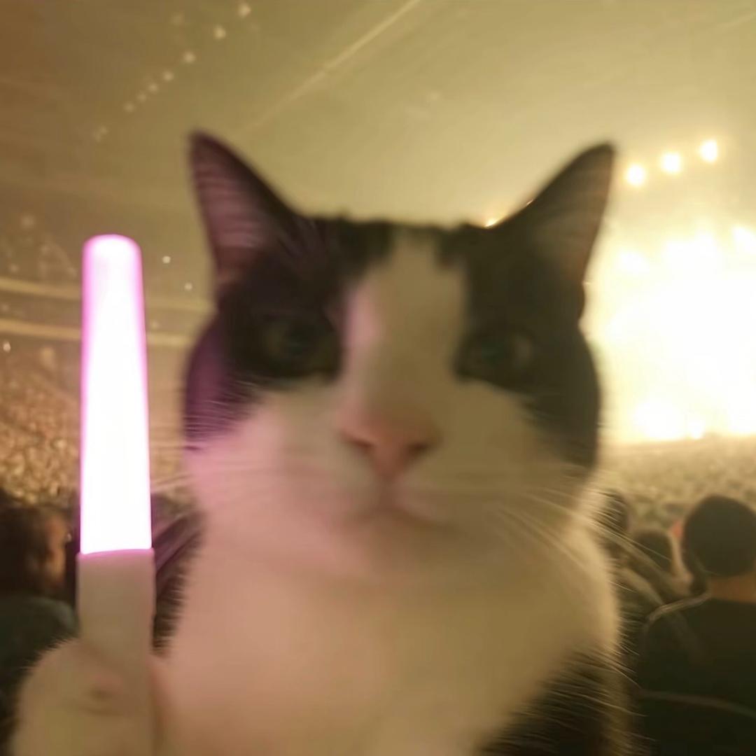 怀瑾握瑜 嘉言懿行