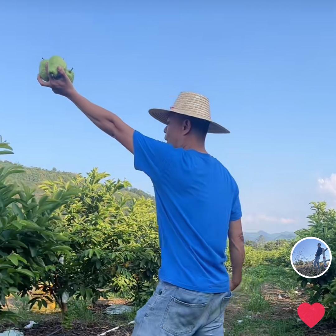 小董哥@农副土特产店