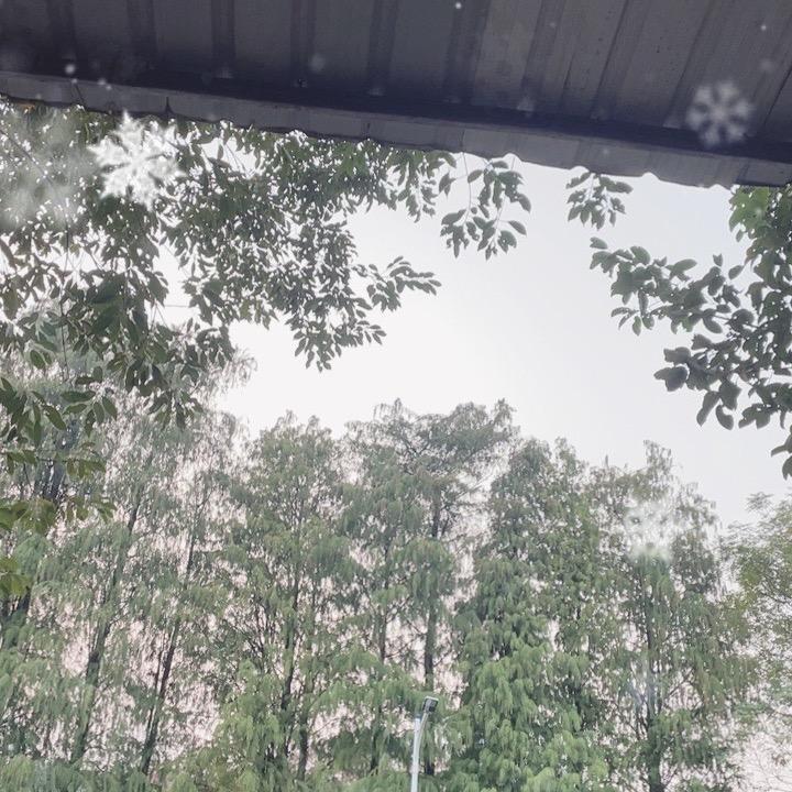 疯狂的优选