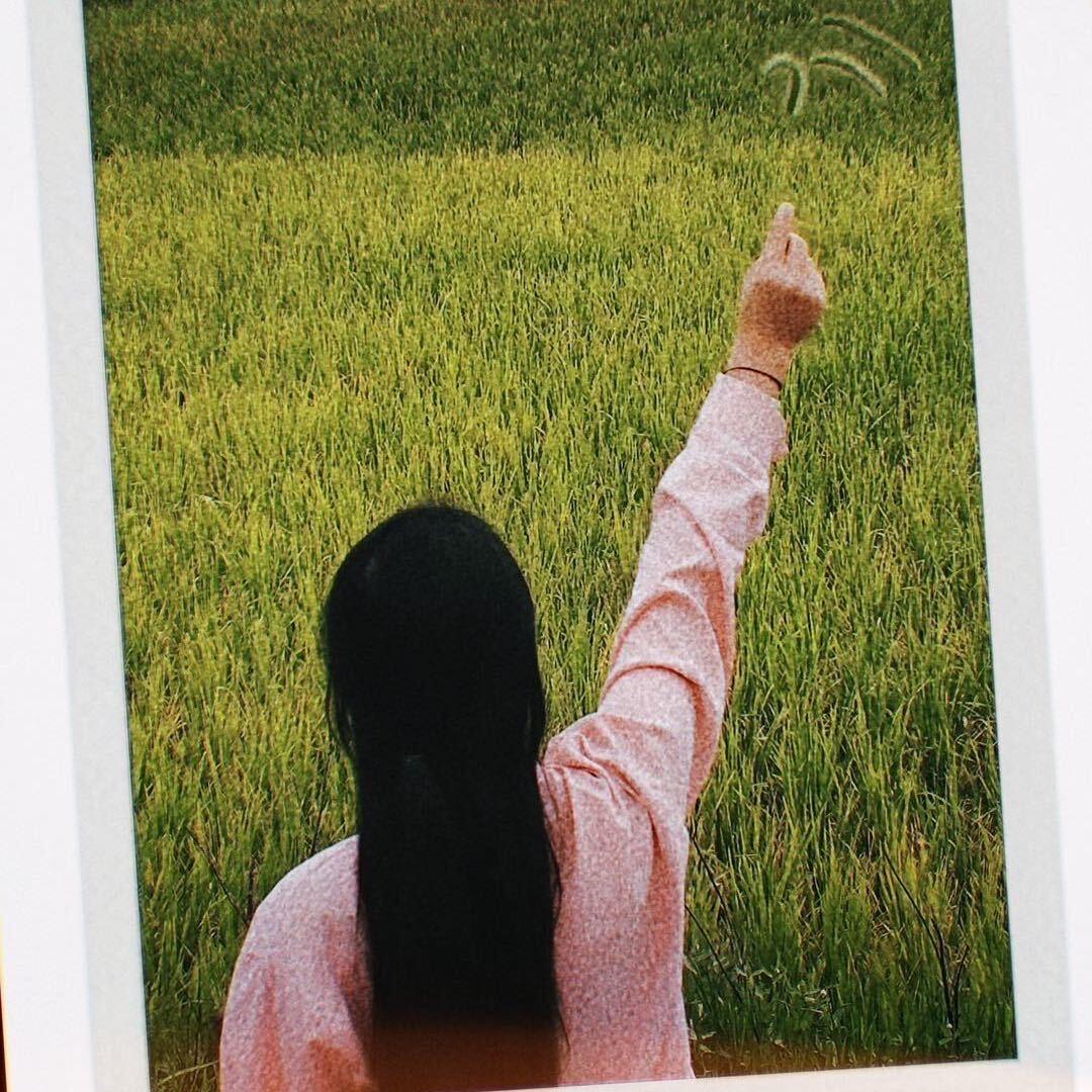 摆摊滴蚊子耶✌️