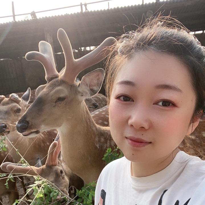益鹿康鹿业