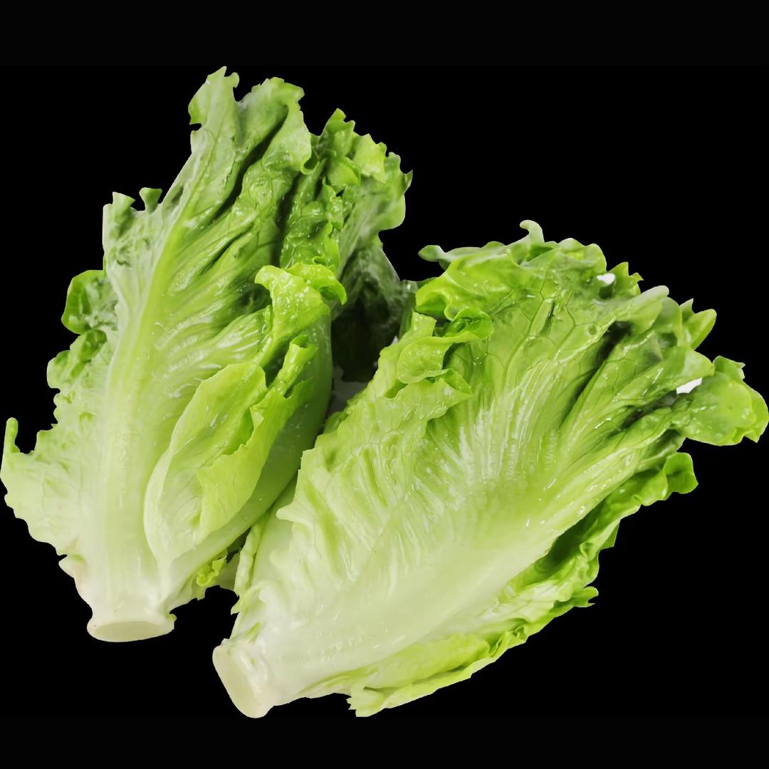 生菜.