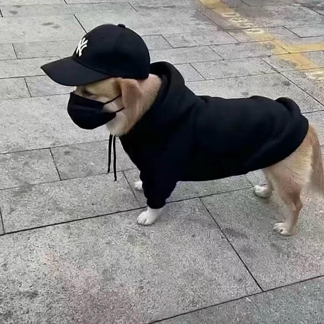 忧郁的龙
