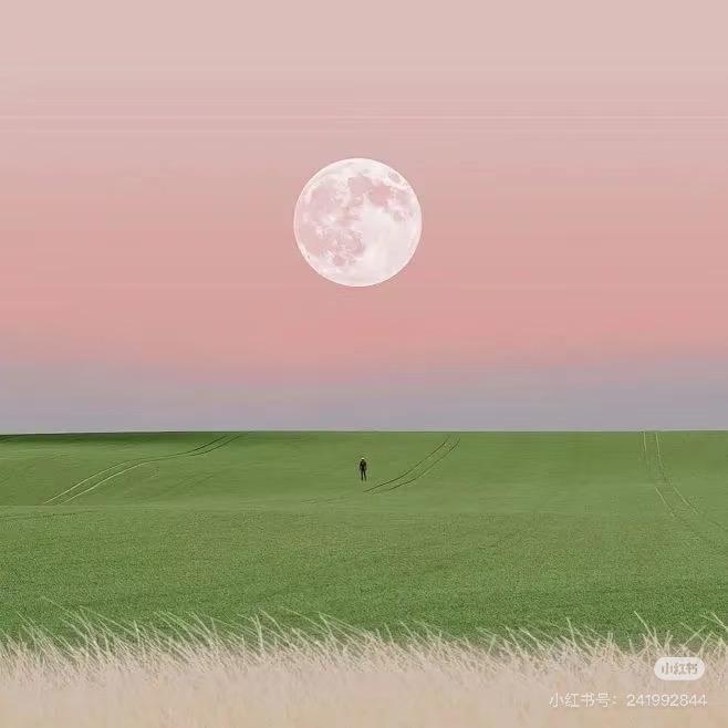 丁 丁🍒