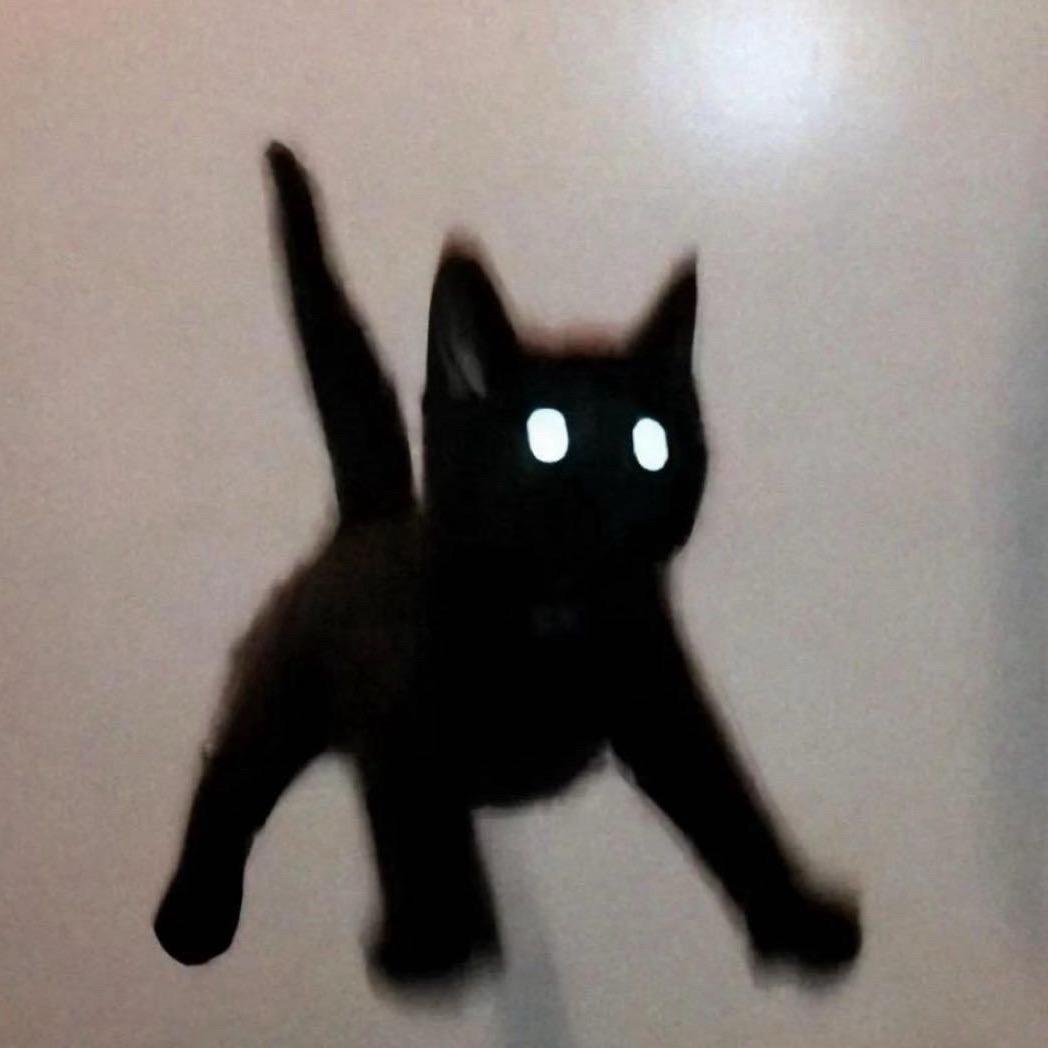 、T