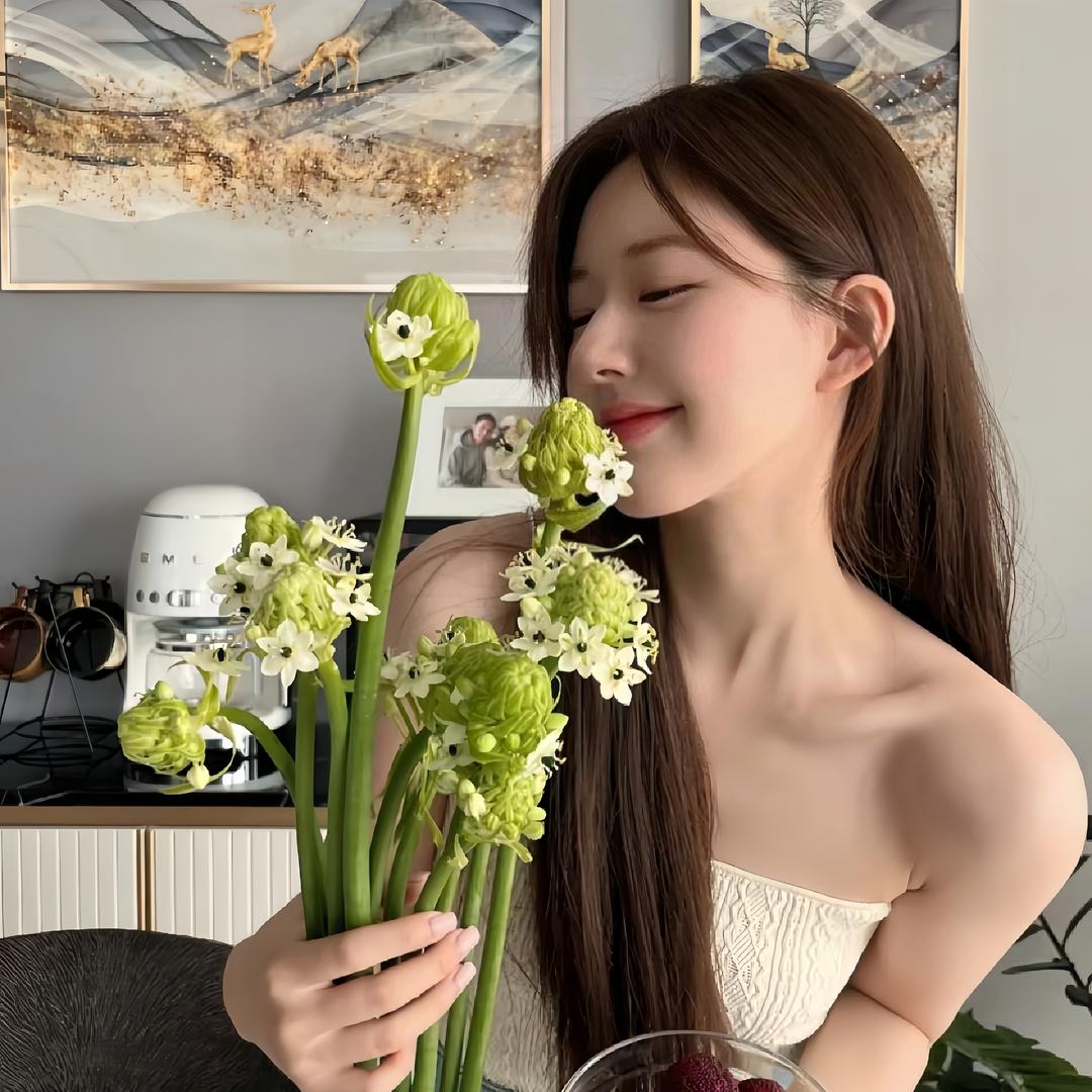 一只蓝懒懒