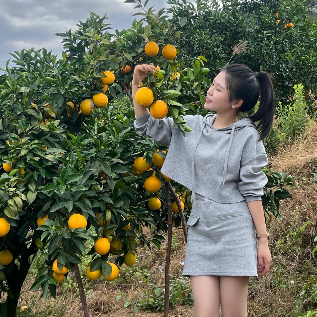 🍊赣南脐橙代办｜张漂亮