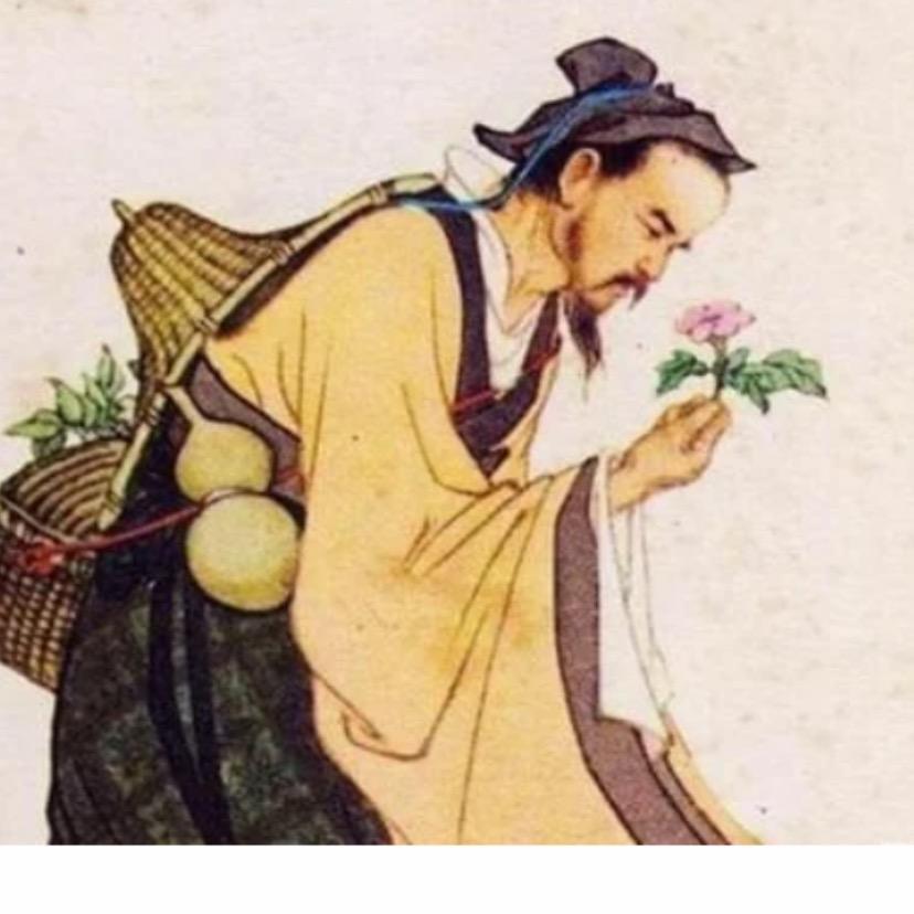 妙手王老师大讲堂