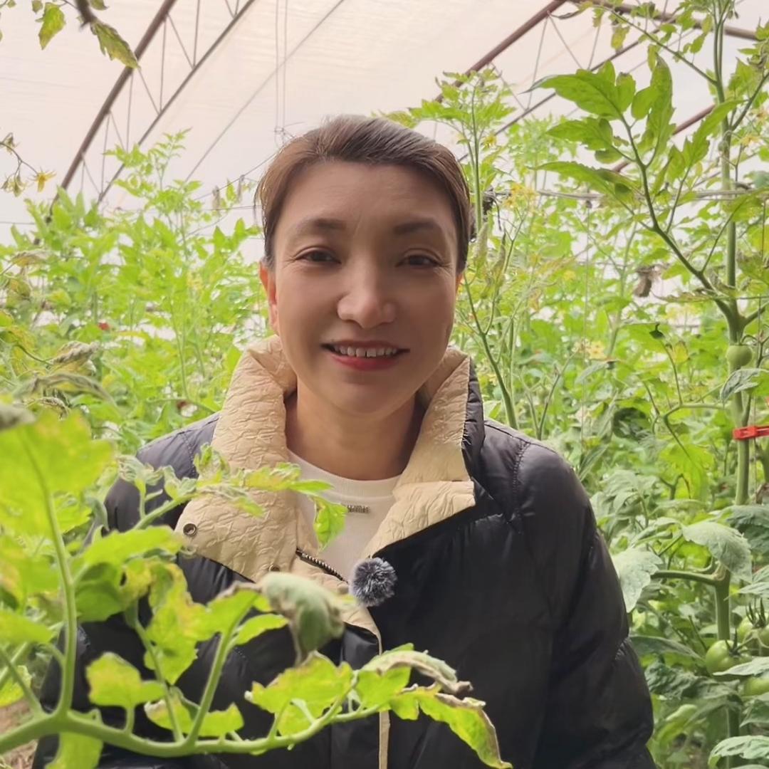 燕姐聊农业