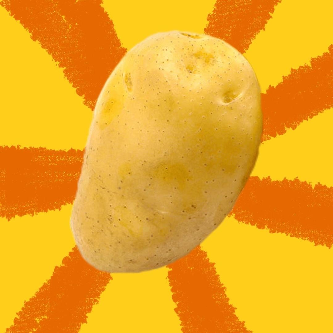 Potatoo
