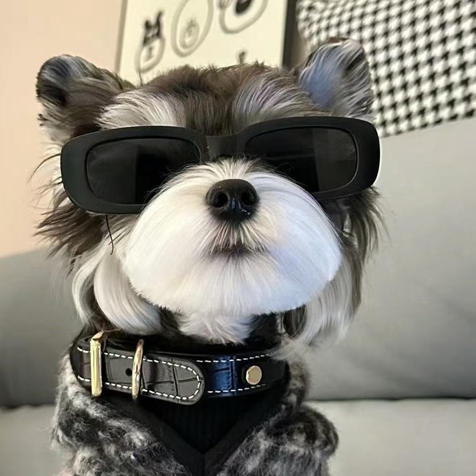 世美（𝗘𝗠𝗢版）