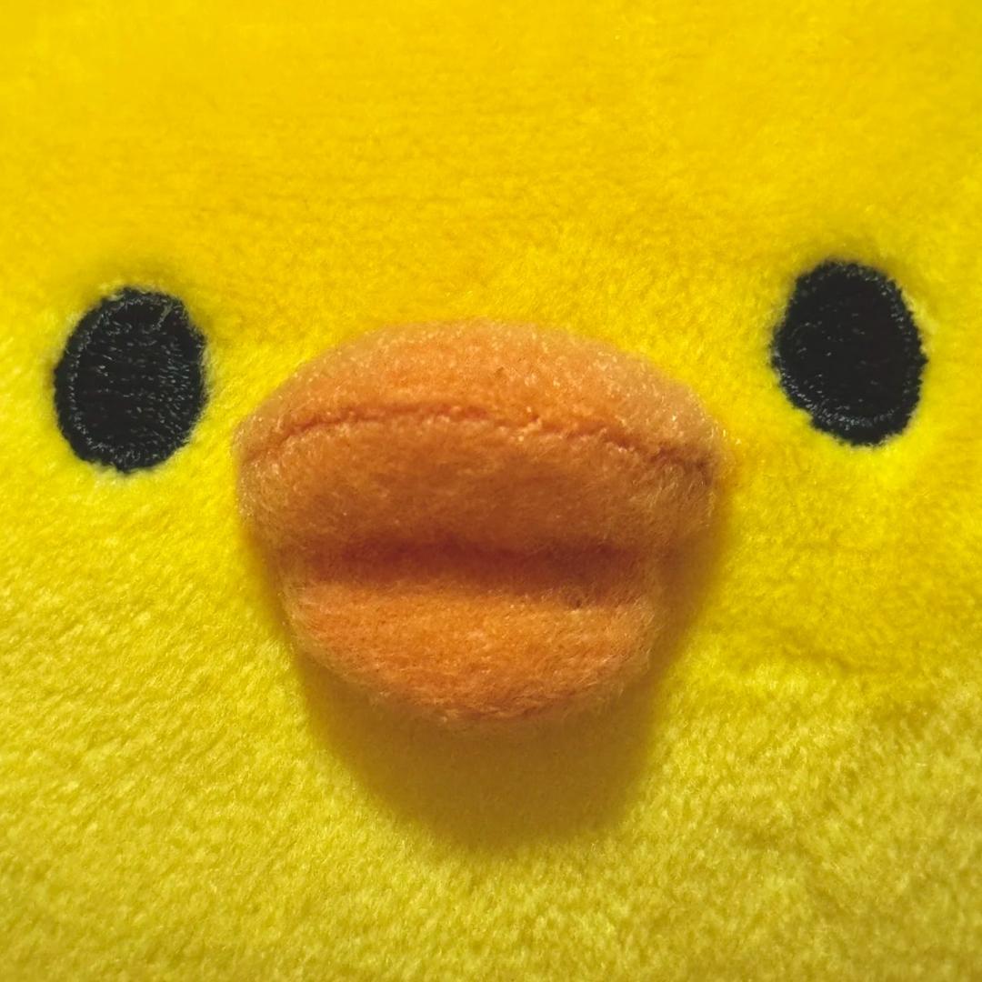 jijijijiji