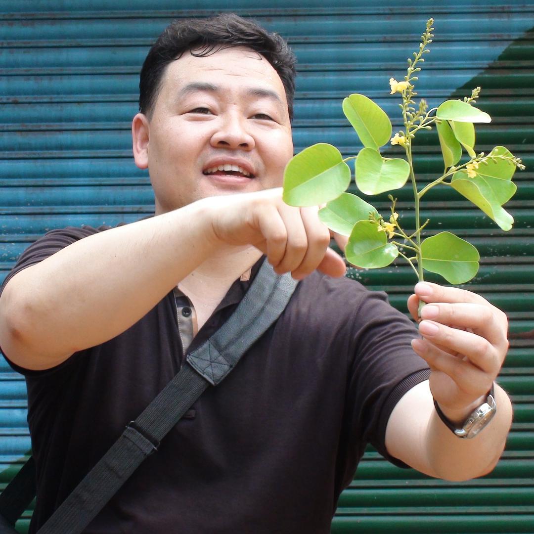 千里木檀香紫檀