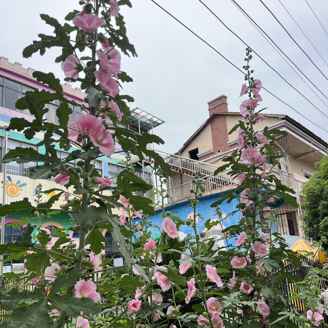 无臂小卢百货