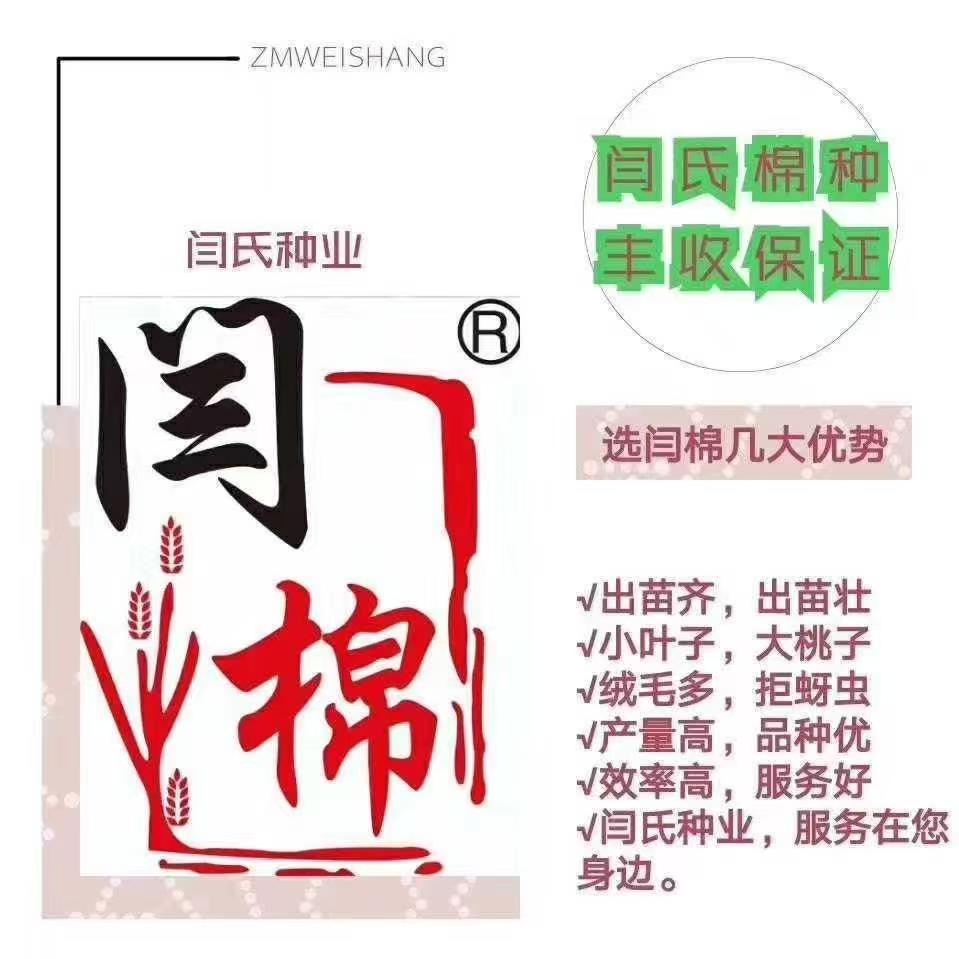 闫氏棉种，丰收保证