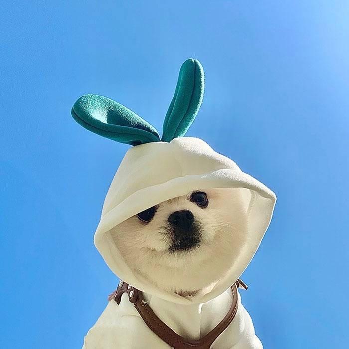 张张🥇