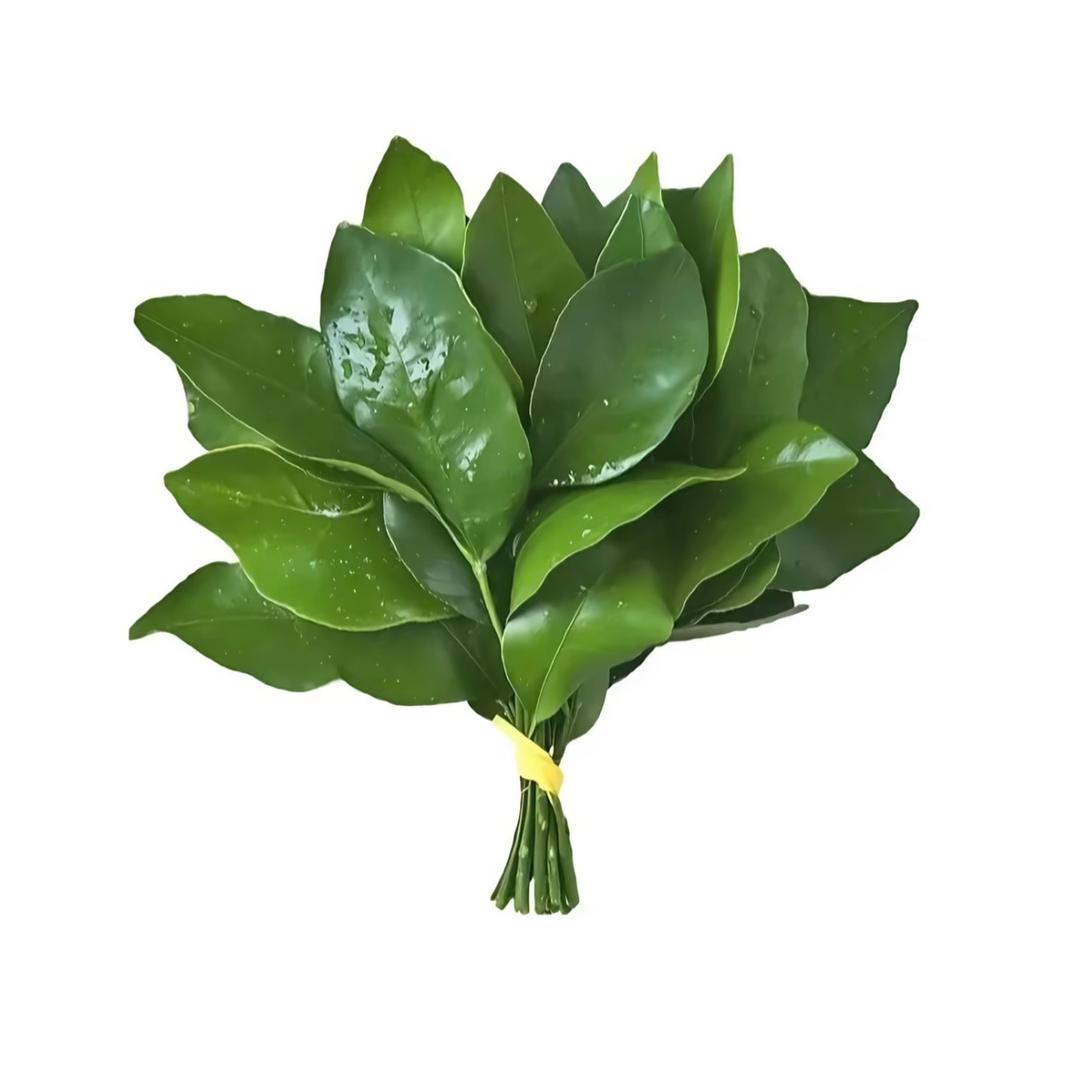 静.