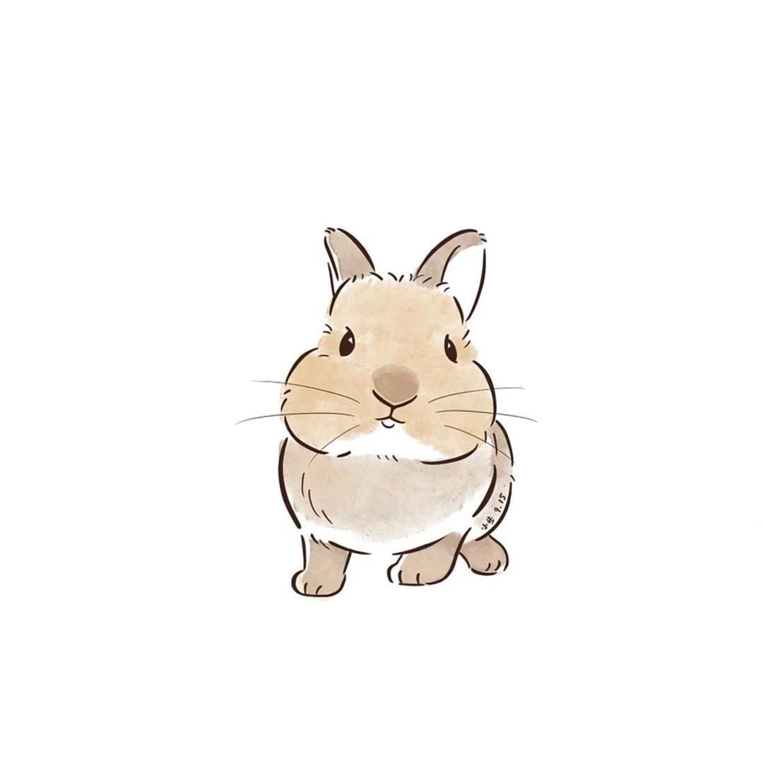 菁晨萌宠直播号