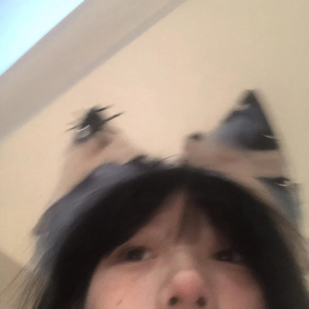 Y^🐈