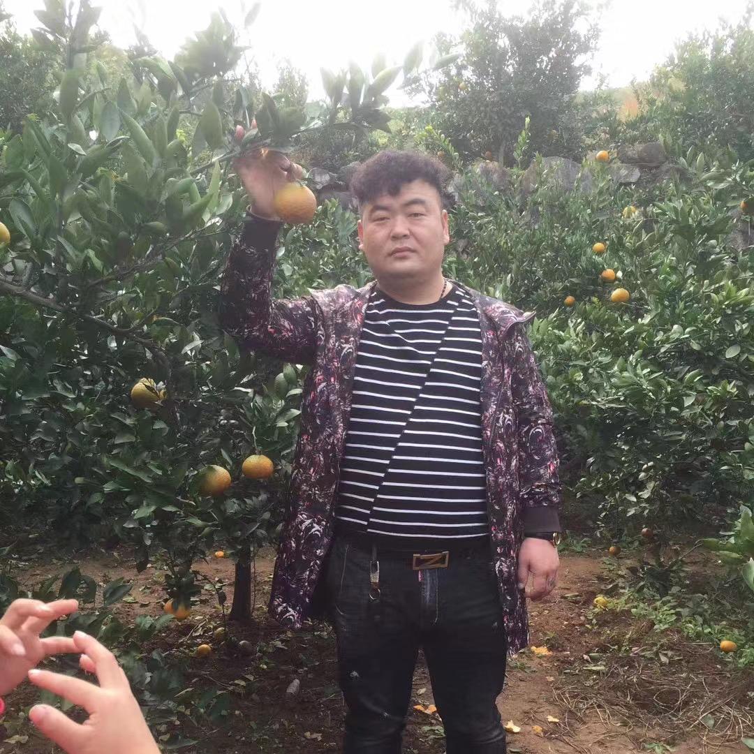 杨家牛肉牛杂粉面馆（仅此一家）