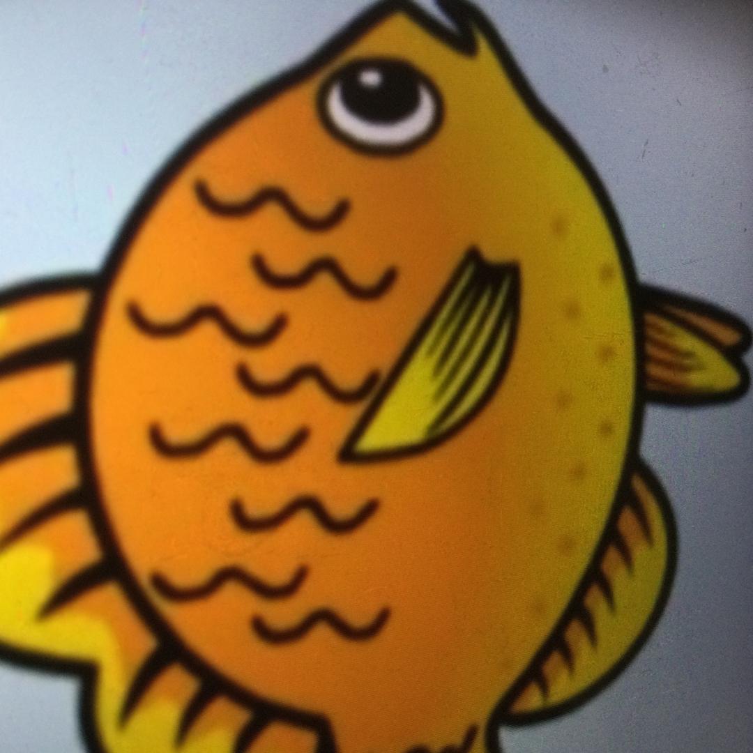 会呼吸的鱼🐟