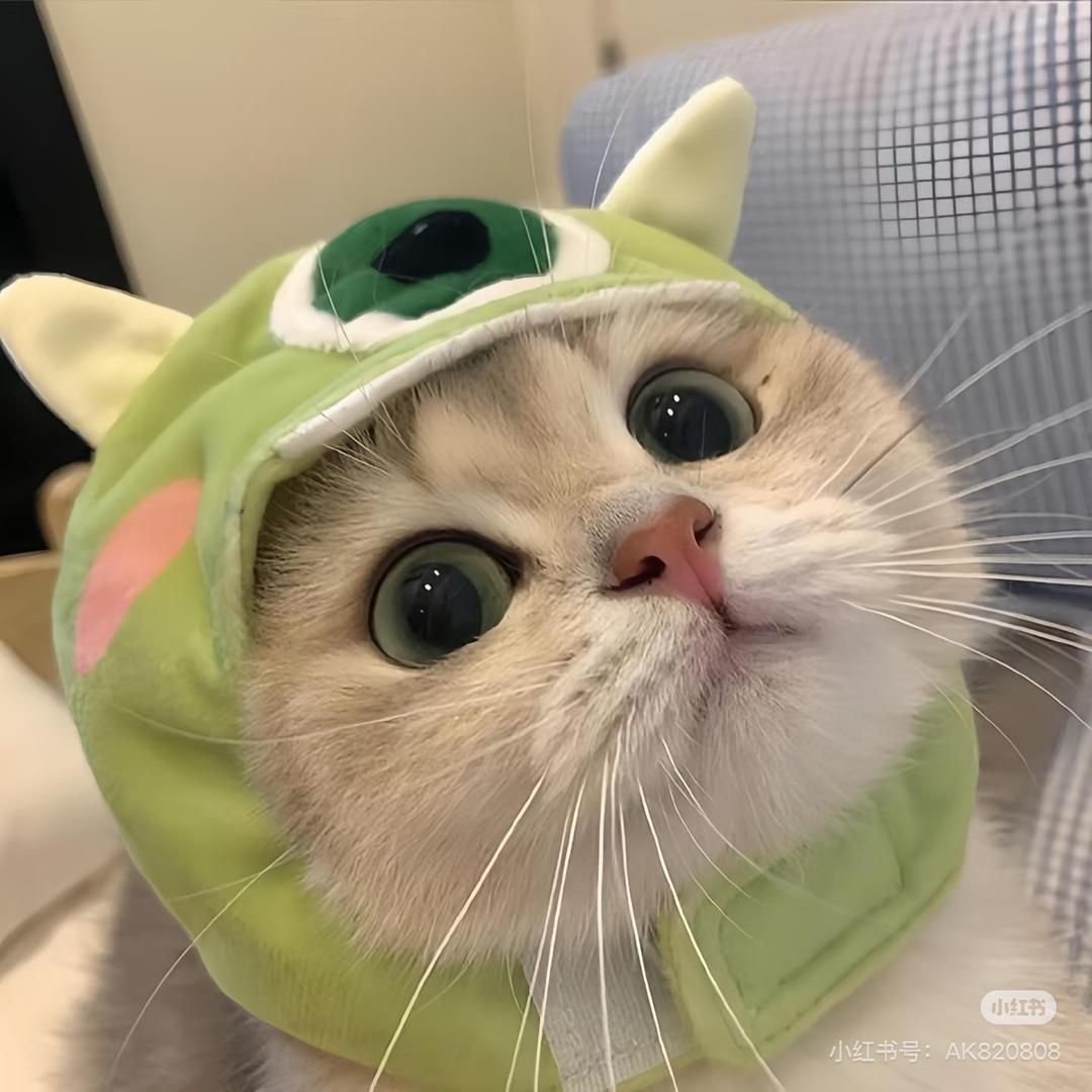 小叶子🍃