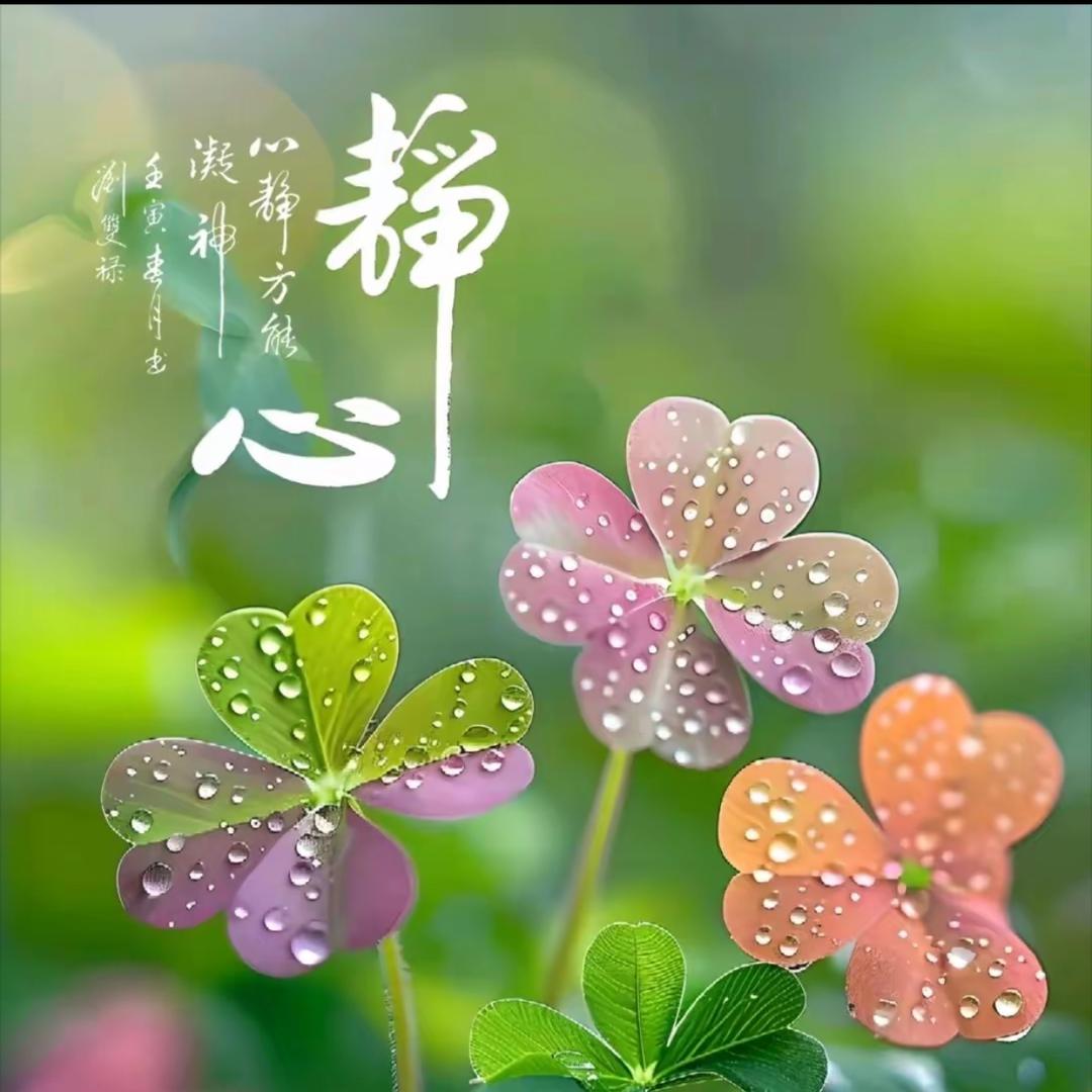 隐入凡尘（伤感音乐）