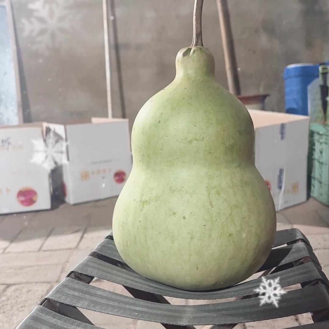 兴缘葫芦